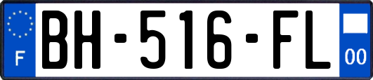 BH-516-FL