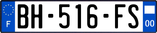 BH-516-FS