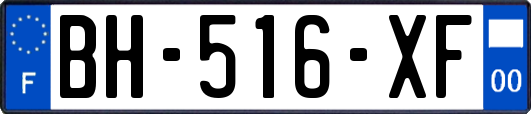 BH-516-XF