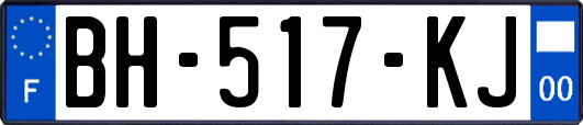 BH-517-KJ