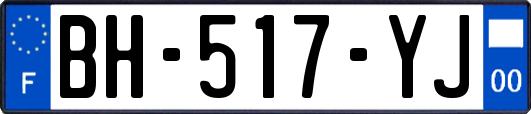 BH-517-YJ