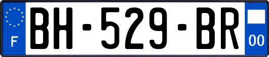 BH-529-BR