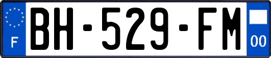 BH-529-FM