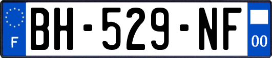 BH-529-NF