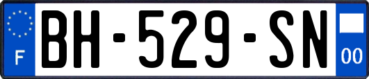 BH-529-SN
