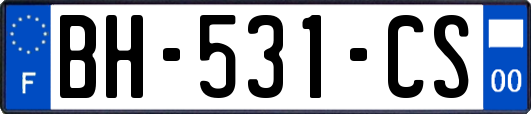 BH-531-CS