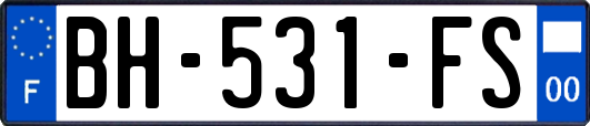 BH-531-FS