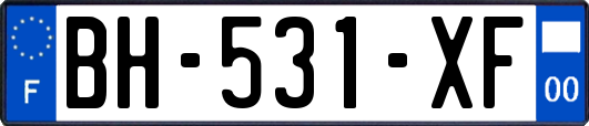 BH-531-XF