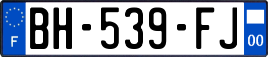 BH-539-FJ