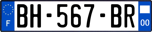 BH-567-BR