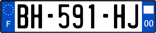 BH-591-HJ