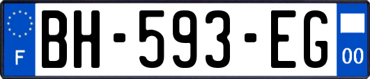 BH-593-EG