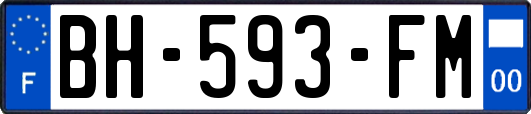 BH-593-FM