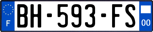 BH-593-FS