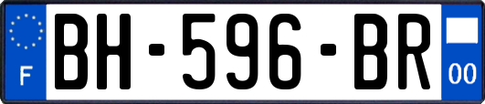 BH-596-BR