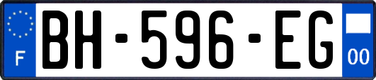 BH-596-EG