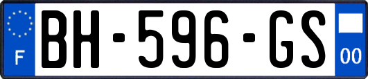 BH-596-GS