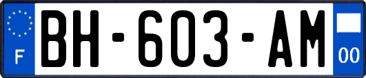 BH-603-AM