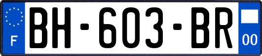 BH-603-BR