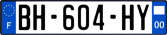 BH-604-HY