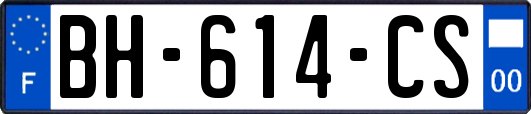 BH-614-CS