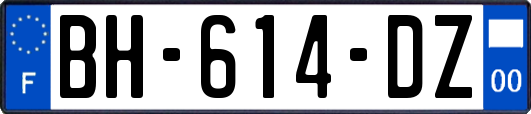 BH-614-DZ