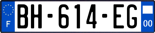 BH-614-EG