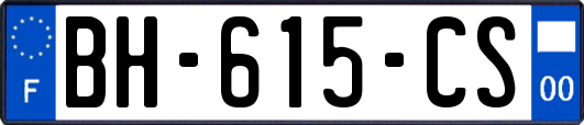 BH-615-CS