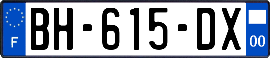 BH-615-DX