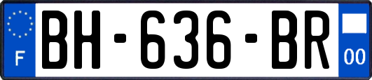 BH-636-BR