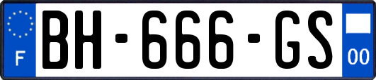 BH-666-GS