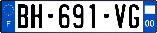BH-691-VG