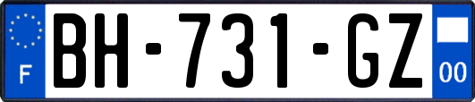 BH-731-GZ