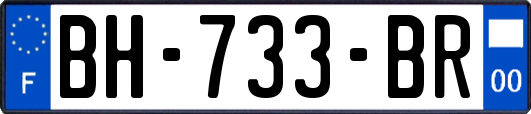 BH-733-BR