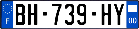 BH-739-HY