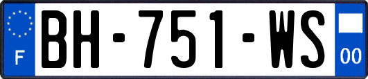 BH-751-WS