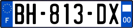 BH-813-DX