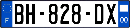 BH-828-DX