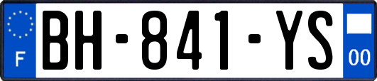 BH-841-YS