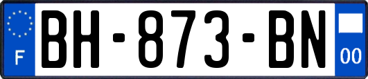 BH-873-BN