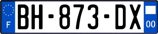 BH-873-DX