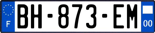 BH-873-EM