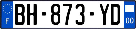 BH-873-YD