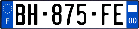 BH-875-FE