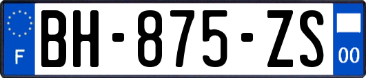 BH-875-ZS