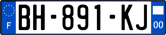 BH-891-KJ