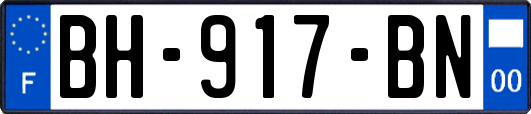 BH-917-BN