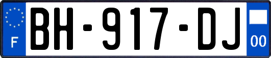 BH-917-DJ