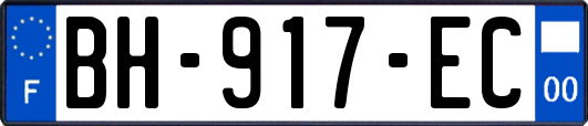 BH-917-EC