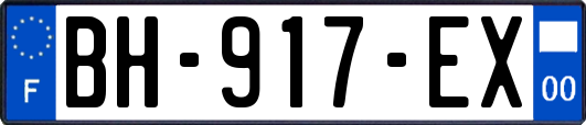 BH-917-EX